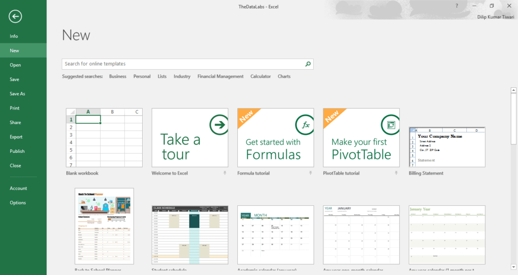 Introduction to Excel - TheDataLabs