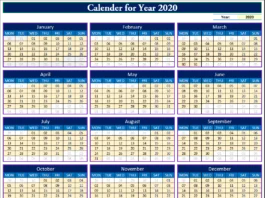 Calendar for Year 2020