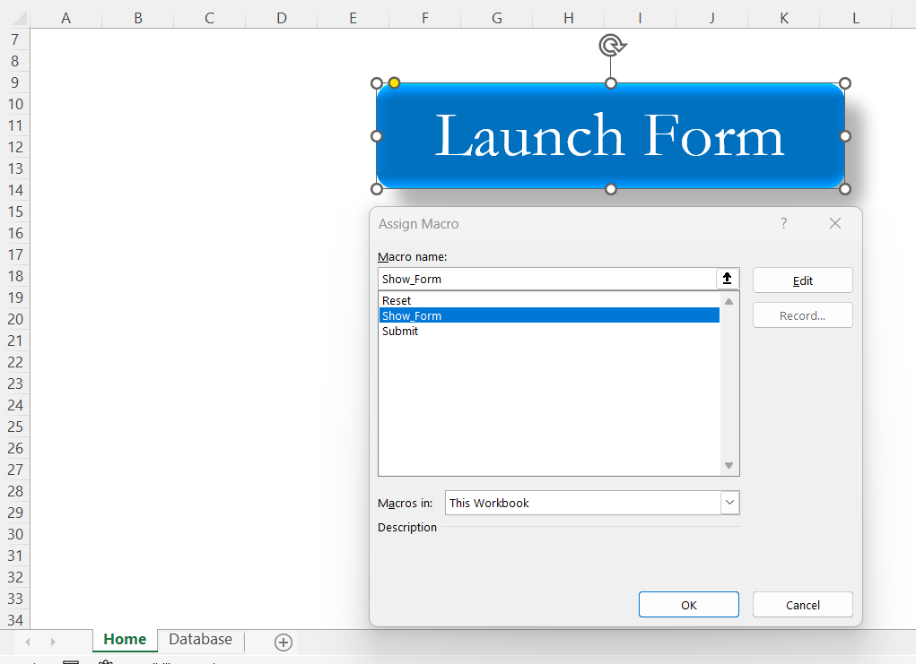 Assign Macro on Launch Form Button in Home Sheet in Fully Automated Data Entry Form 2